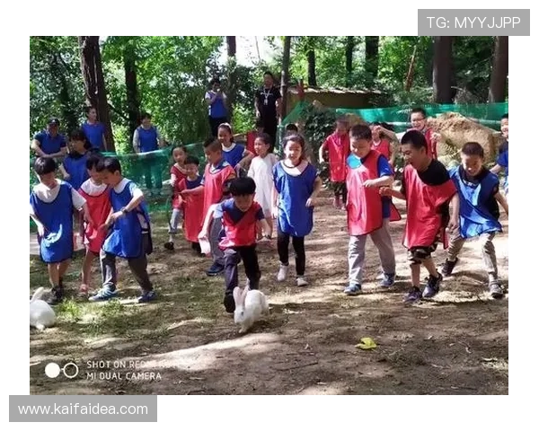 欧博真人游戏用户评价与口碑分析,了解真实玩家的游戏体验与建议 欧博真人游戏用户评价与口碑分析,了解真实玩家的游戏体验与建议