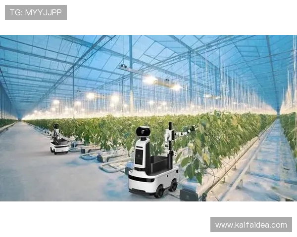 og网上真人是哪推出的未来发展趋势与创新技术应用展望