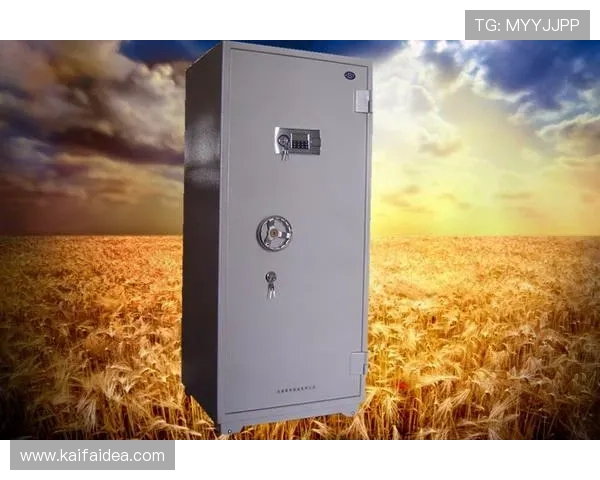 掌握K8凯发app网址的多种登录方式,提升您的使用效率与安全保障 掌握K8凯发app网址的多种登录方式,提升您的使用效率与安全保障