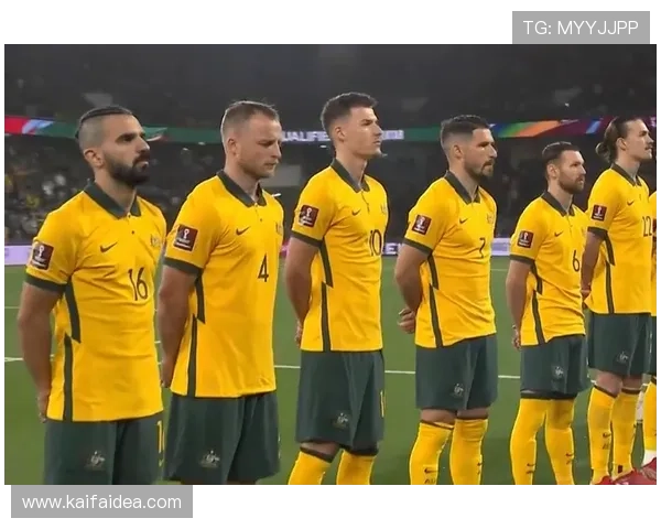 2026年世界杯48个名额分配方案对比分析，未来参赛队伍数量和区域分布趋势预测